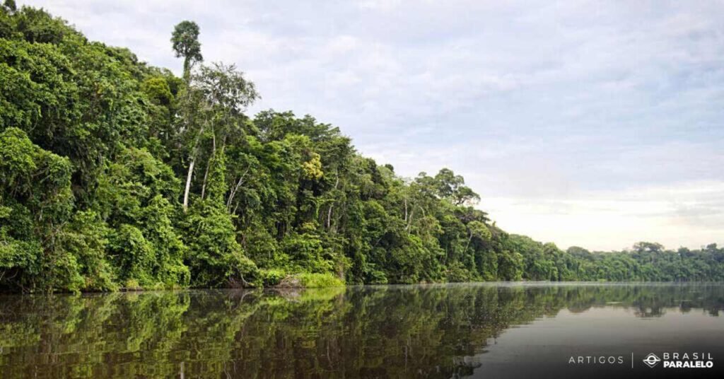 historico-da-legislacao-ambiental-brasileira