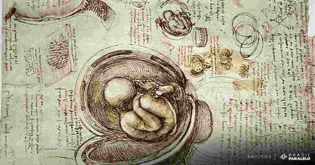Desenho-de-leonardo-da-Vinci