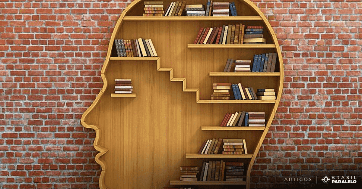 número ideal de livros por ano