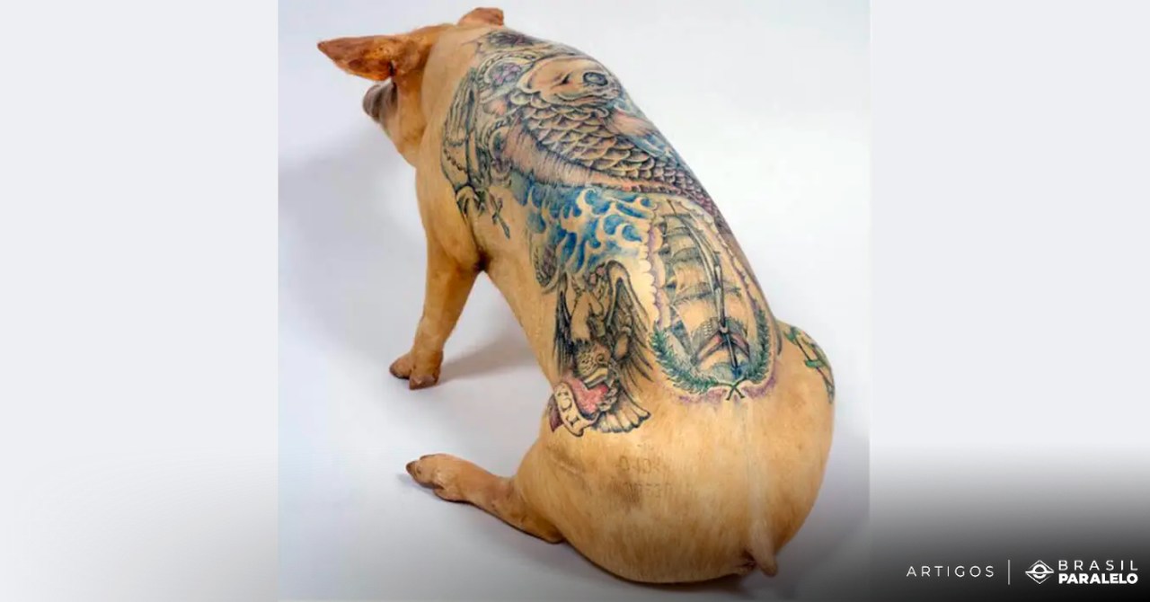 porcos-tatuados