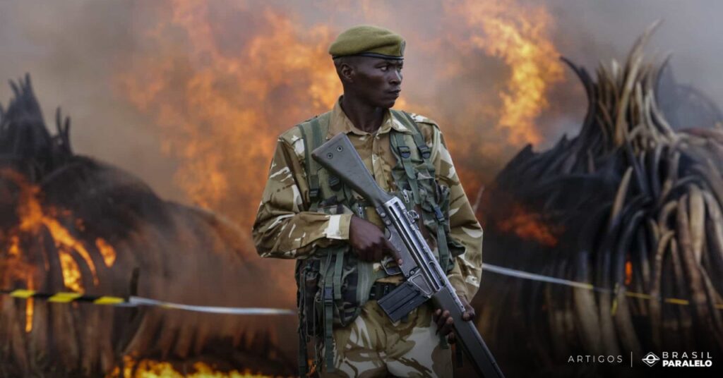 consequencias-do-ambientalismo