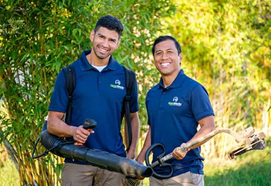 Landscaping