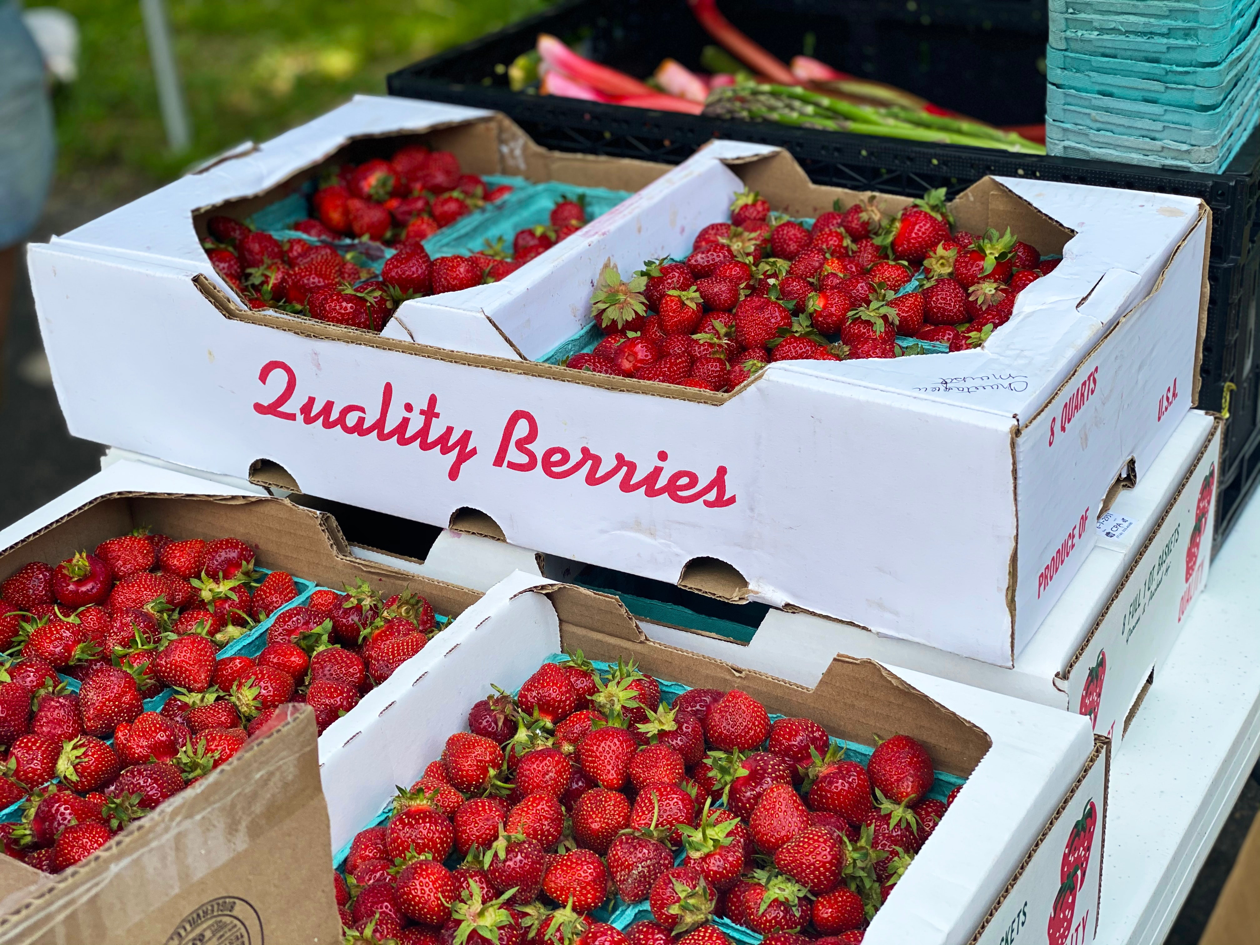 Foodboro's Directory of Food & Beverage Co-Packers
