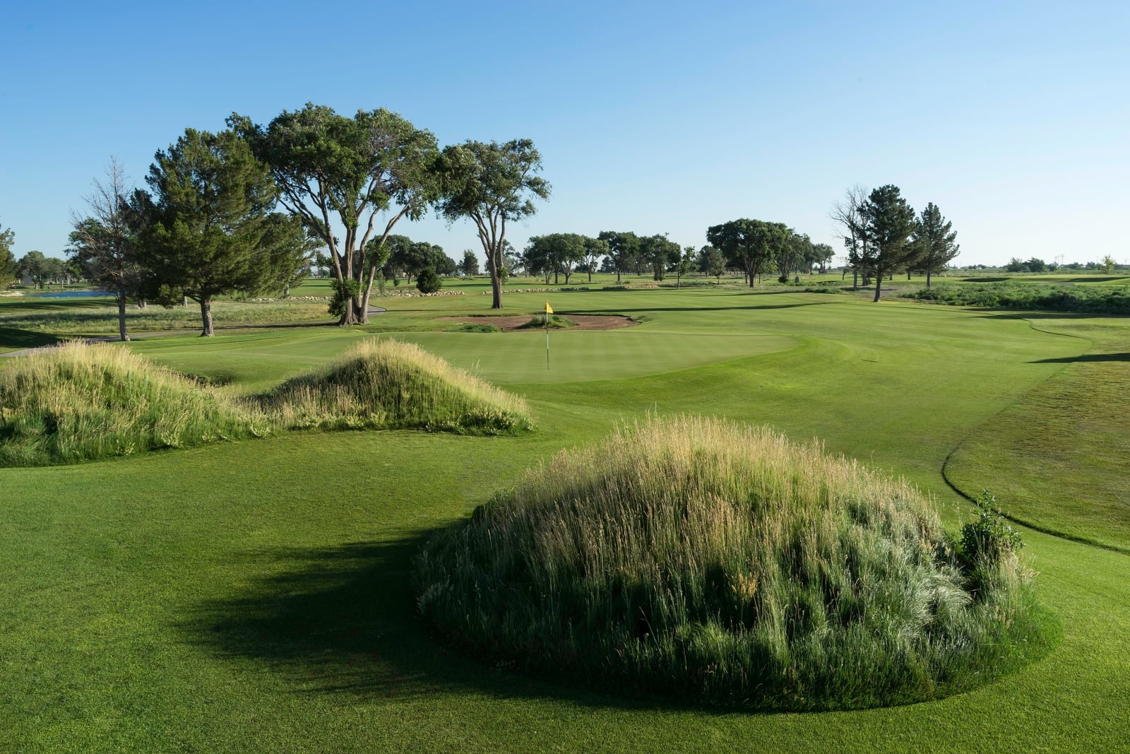 Rockwind Community Links Staples Golf Design
