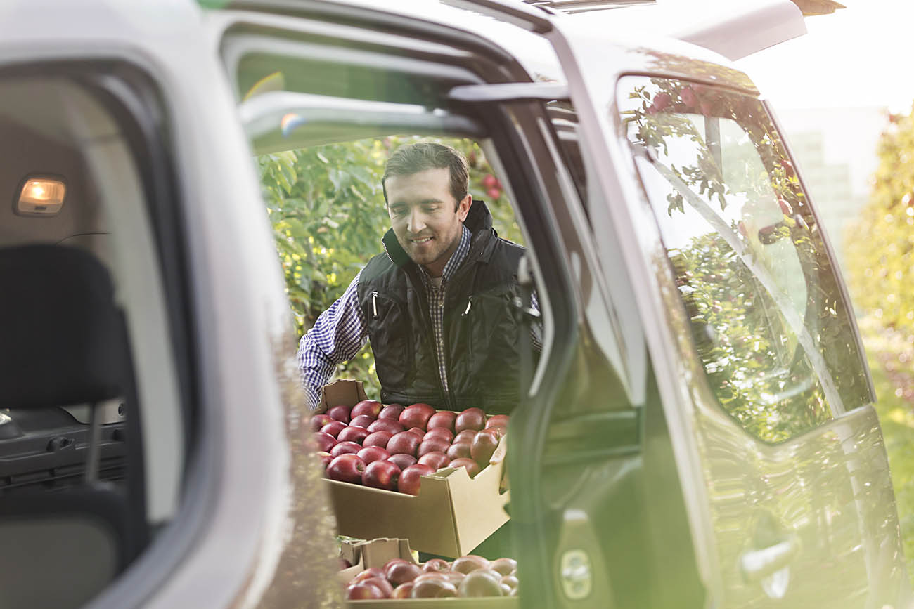 business vehicle | farmer loading red apples into delivery van
