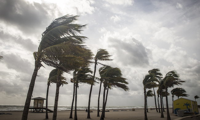 Can You Deduct Money You Gave For Hurricane Relief?