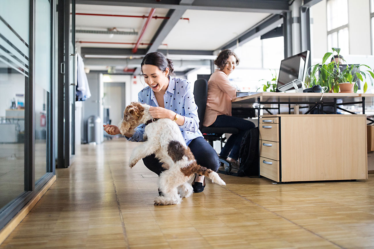 Small business perks you can offer with little budget