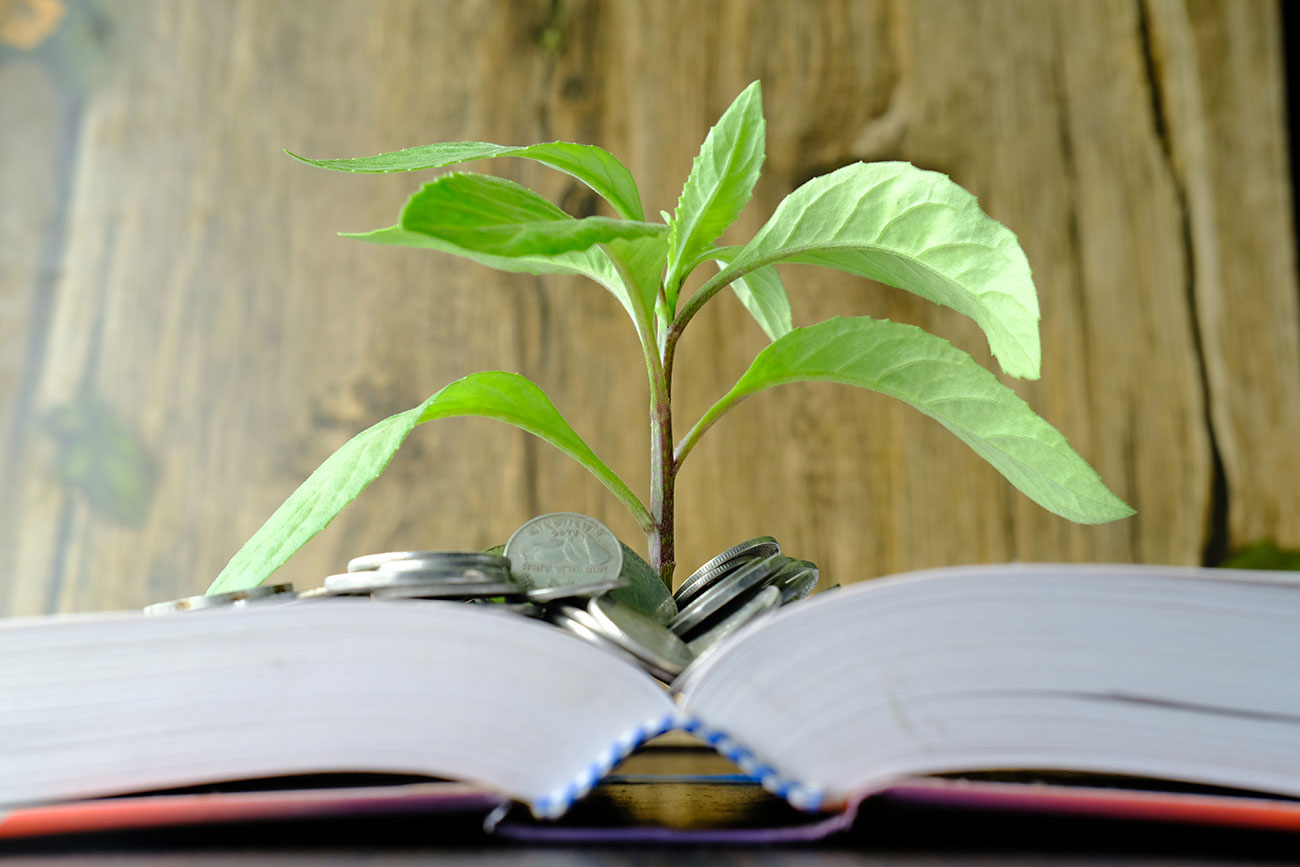 The basics of equity financing for small business