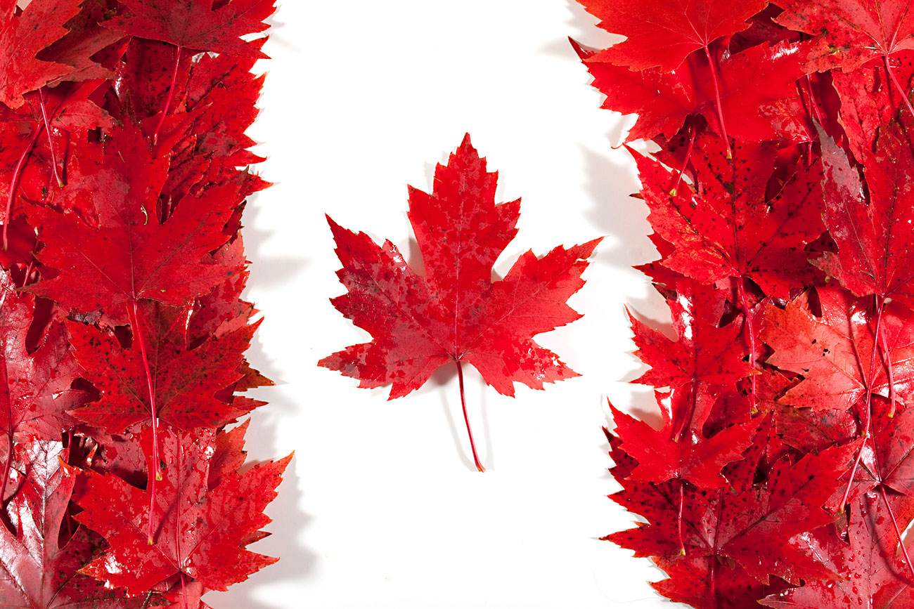 2019 Federal Tax Brackets for Canada