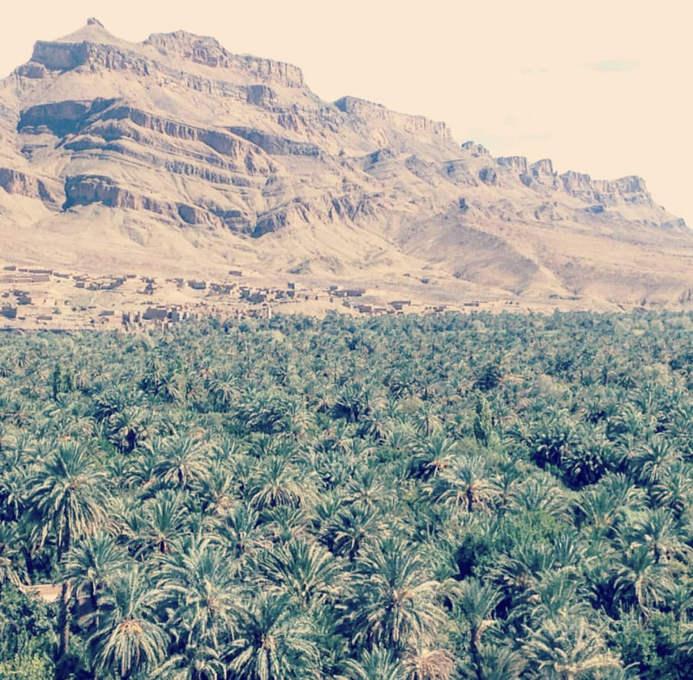 Sahara