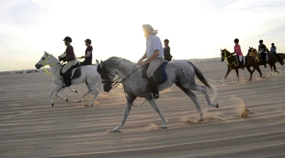Sahara