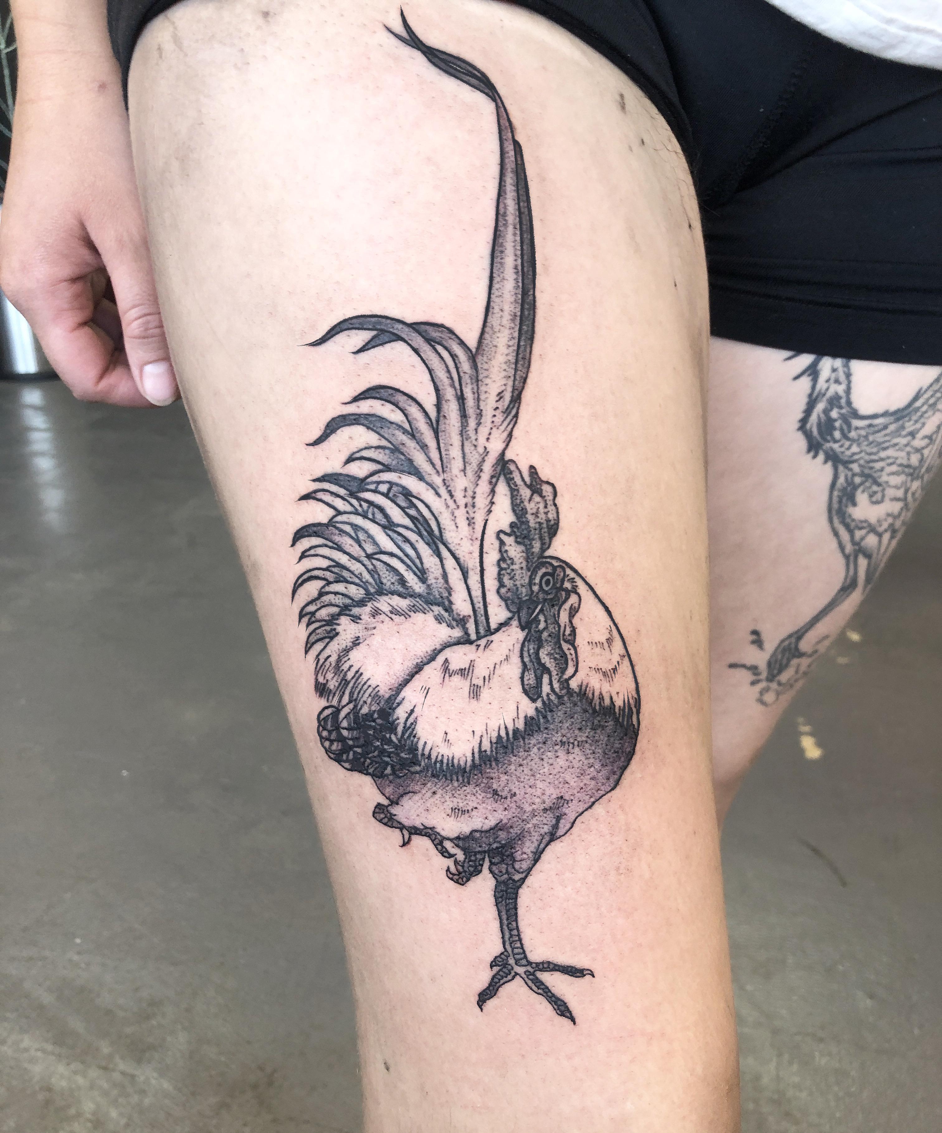 Abby tattoo work 1 - Studio City location