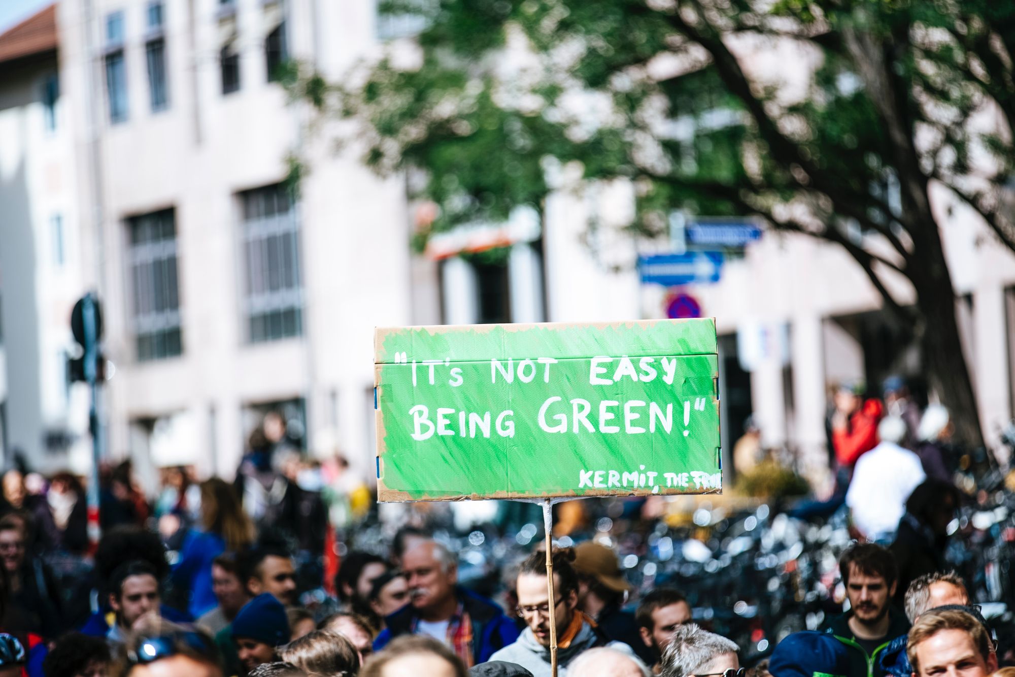No Climate, No Deal: For Real?