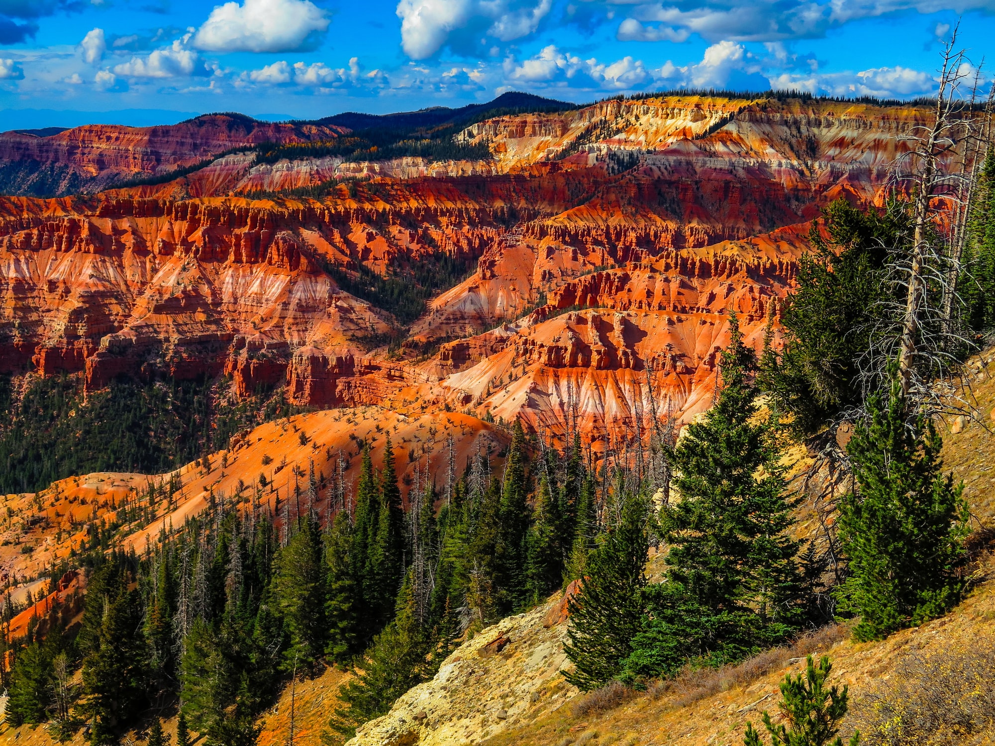 Red Cliffs