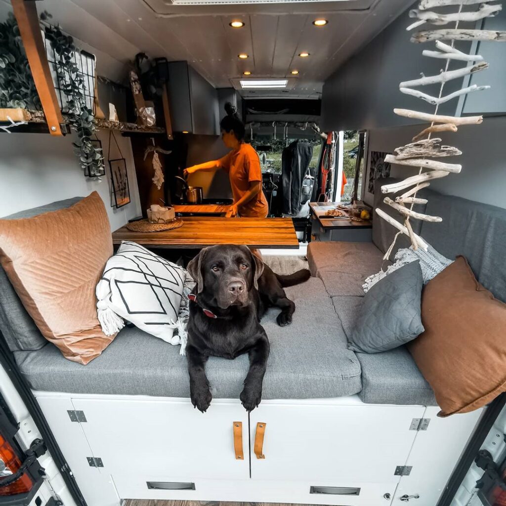 Max and Mona's Cosy Self-Built Fiat Ducato Van Conversion the van conversion guide e-book