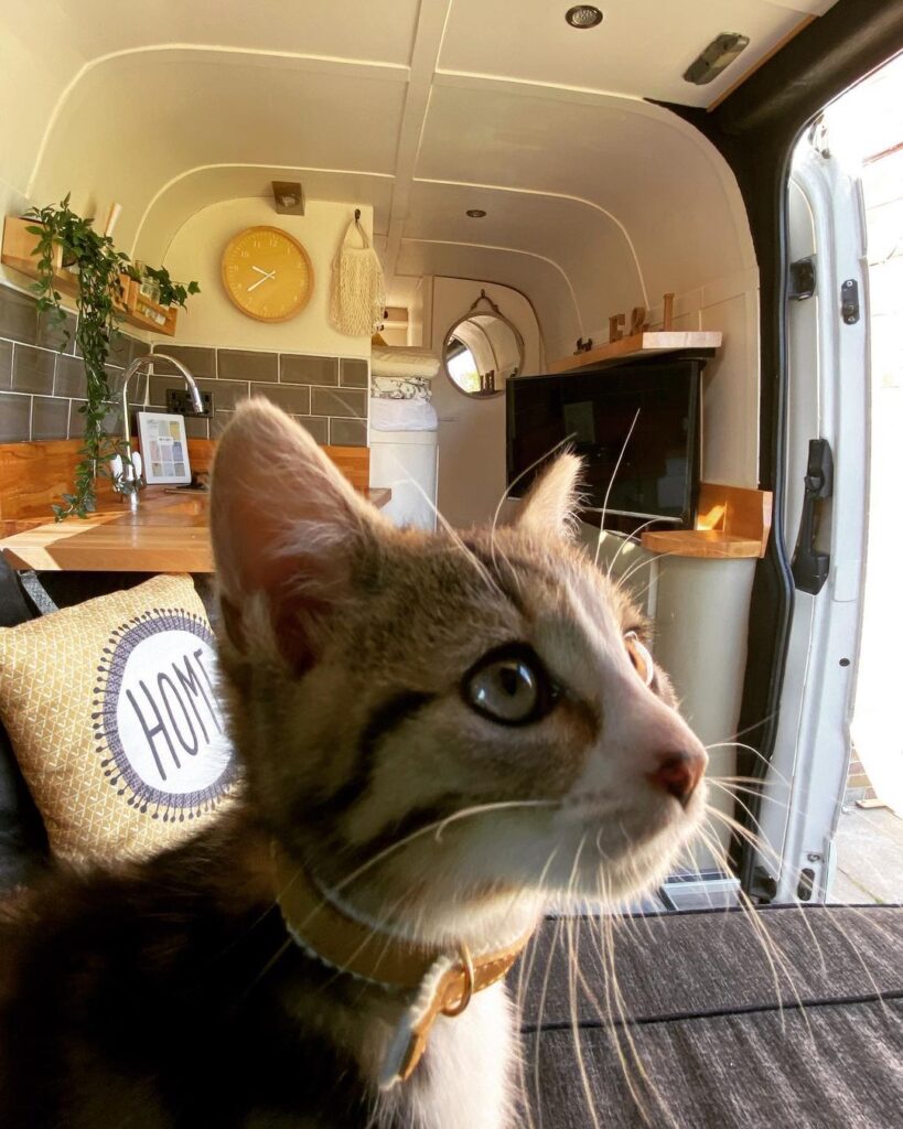 John and Emily’s Hotel Style Mercedes Sprinter Van Conversion e-book