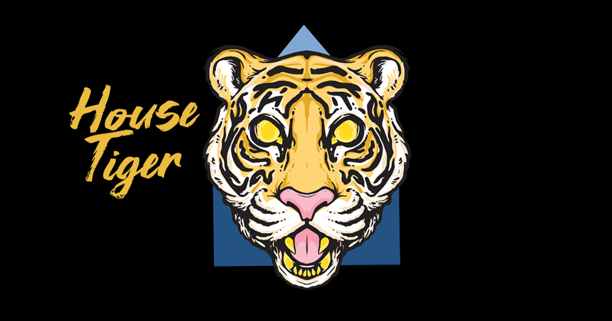 House Tiger Electronic Troubadour underground electronic pop music