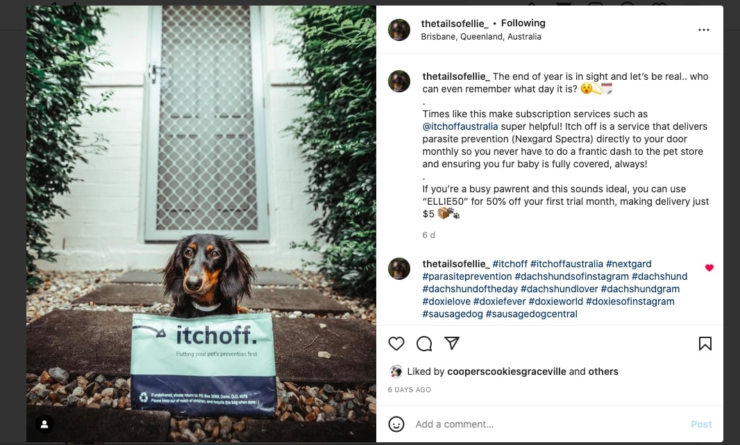 itchoff protects Australian dogs from fleas ticks and worms with a simple Aussie subscription.