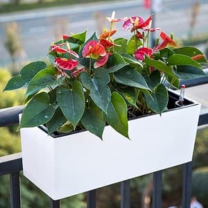 easy for hanging planter
