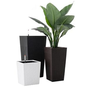 Rattan Planter Sizes