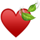 heart icon
