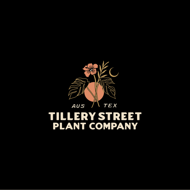 Tillery Street Plant Co.