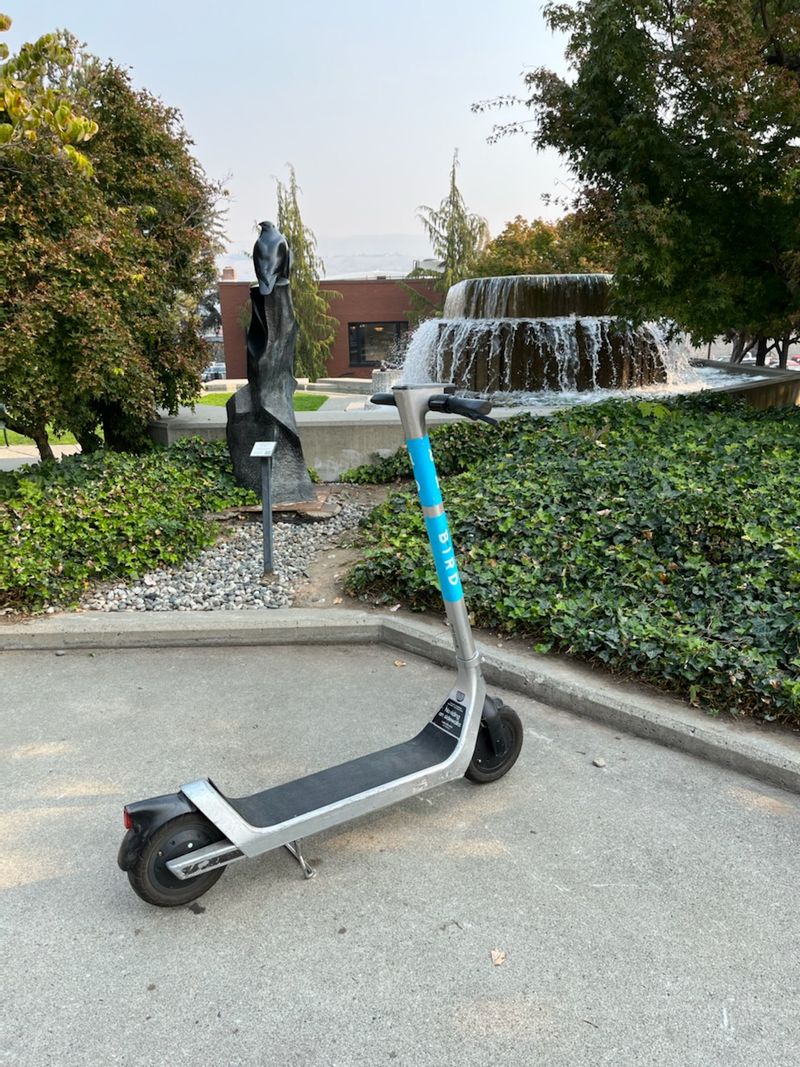 Bop Around Wenatchee on a Bird Scooter