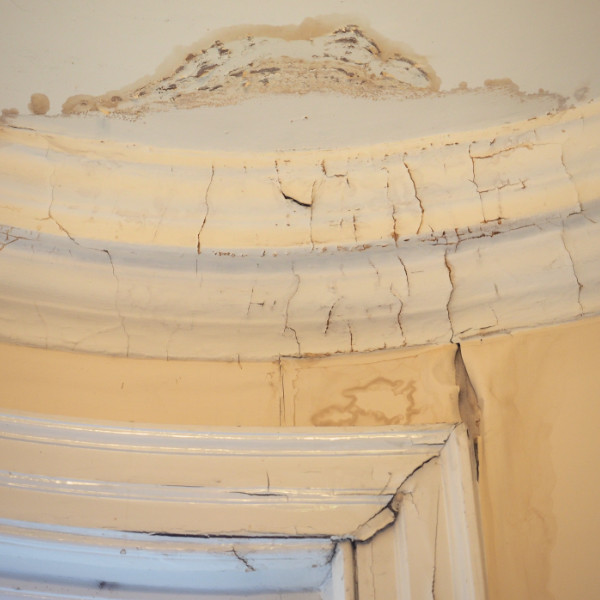 damp walls & ceilings