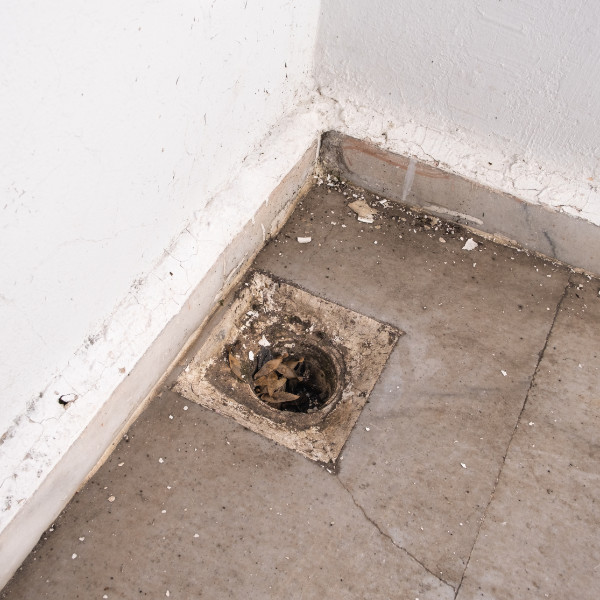 We can unblock your drains