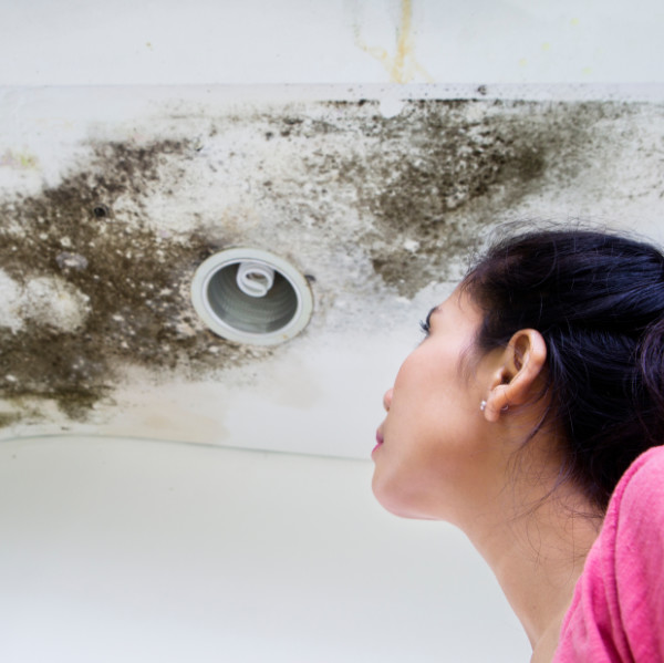mould