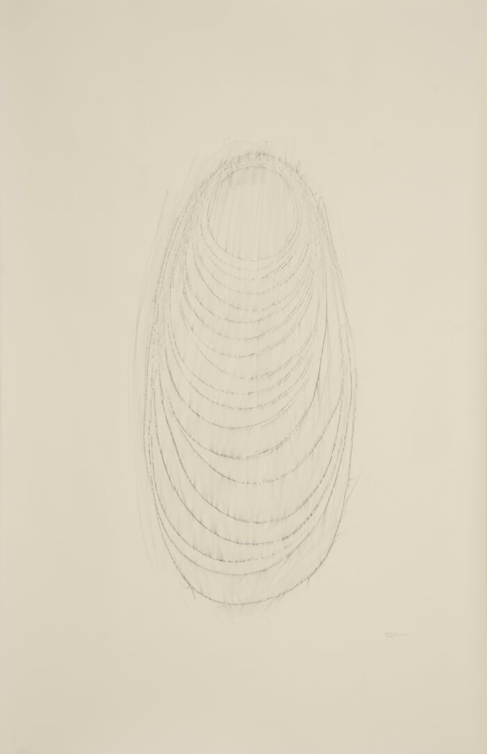 Long Line 2011 Rubbing | graphite on paper, 40 x 26 inches, 2011