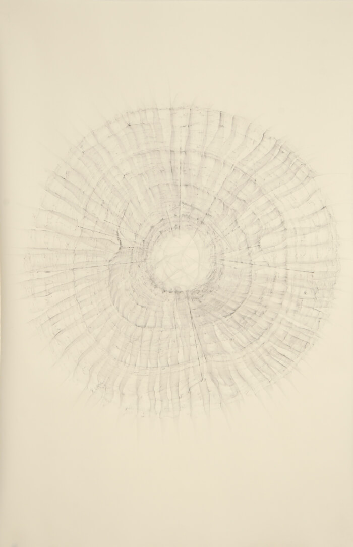 2490 Rubbing #2 | graphite on paper, 40 x 26 inches, 2012