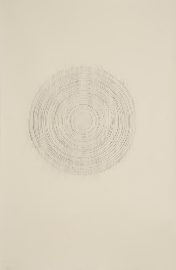 Paper Reel Rubbing HB | graphite on paper, 40 x 26 inches, 2010