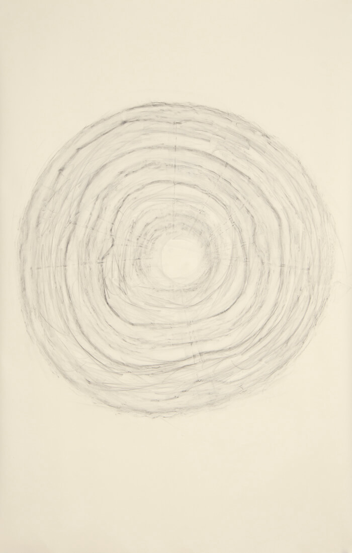 2490 Rubbing #1 | graphite on paper, 40 x 26 inches, 2012