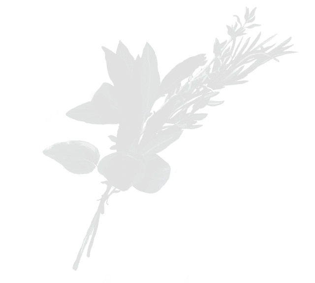 Coal Kitchen Inspired by our Travels Bristol, Exeter & Gloucester Quays