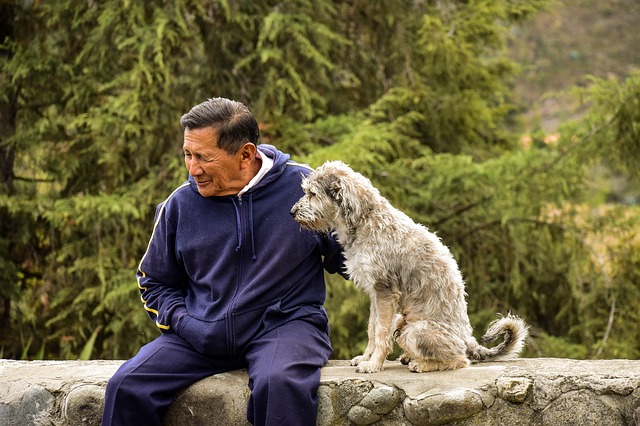 Homme et son chien