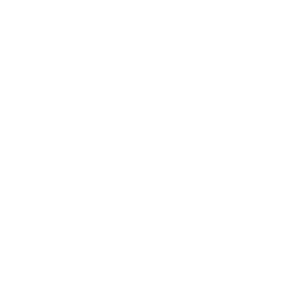 Globe Trotter