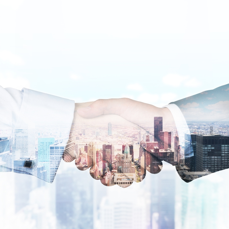 Bell Asset Management case study