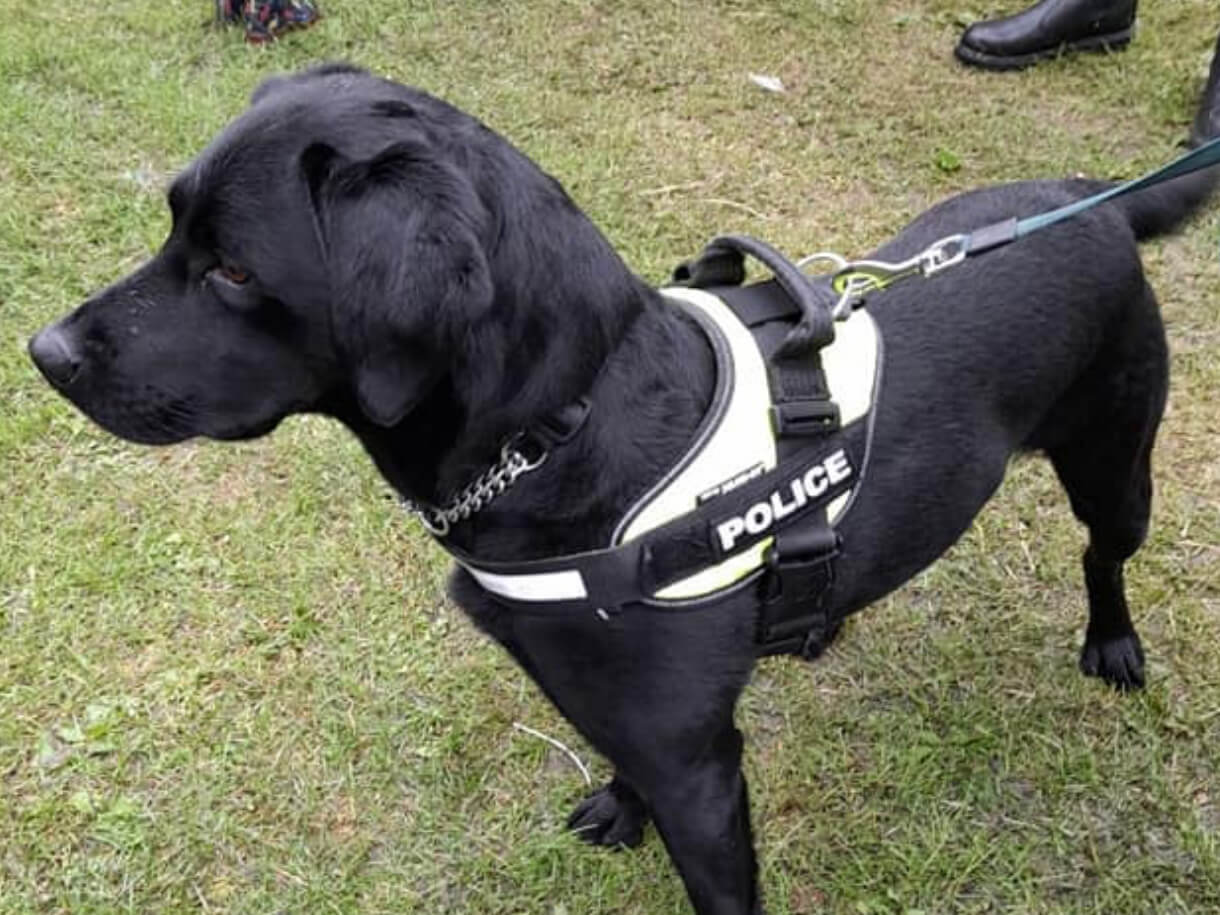 Jet at community event
