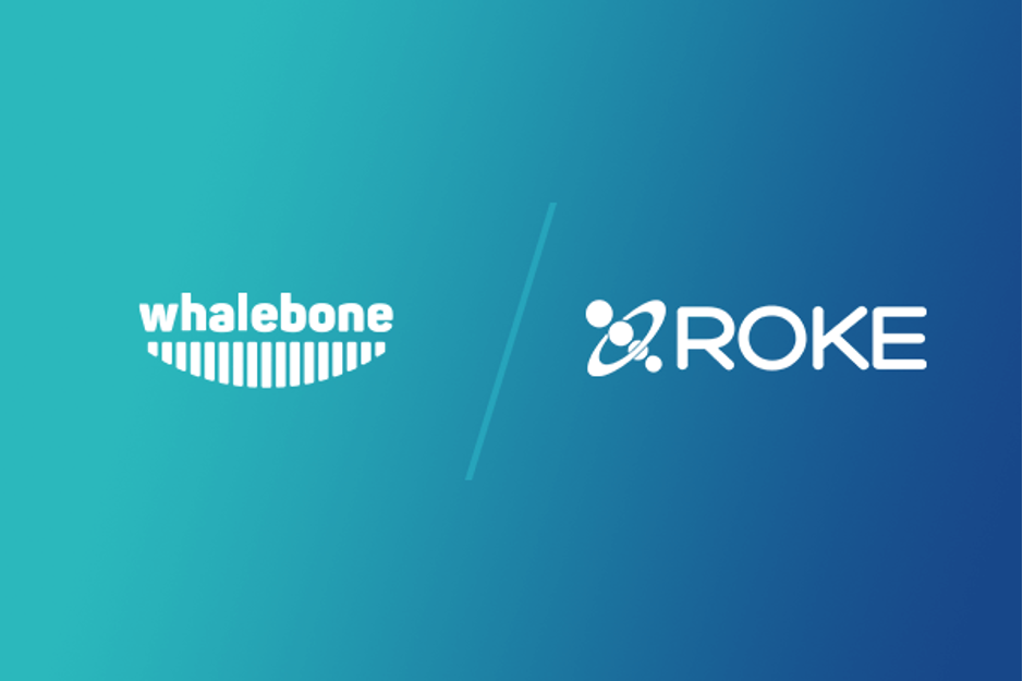 Ugandan Innovation Leader Roke Telkom Introduces Roke Protect Whalebone