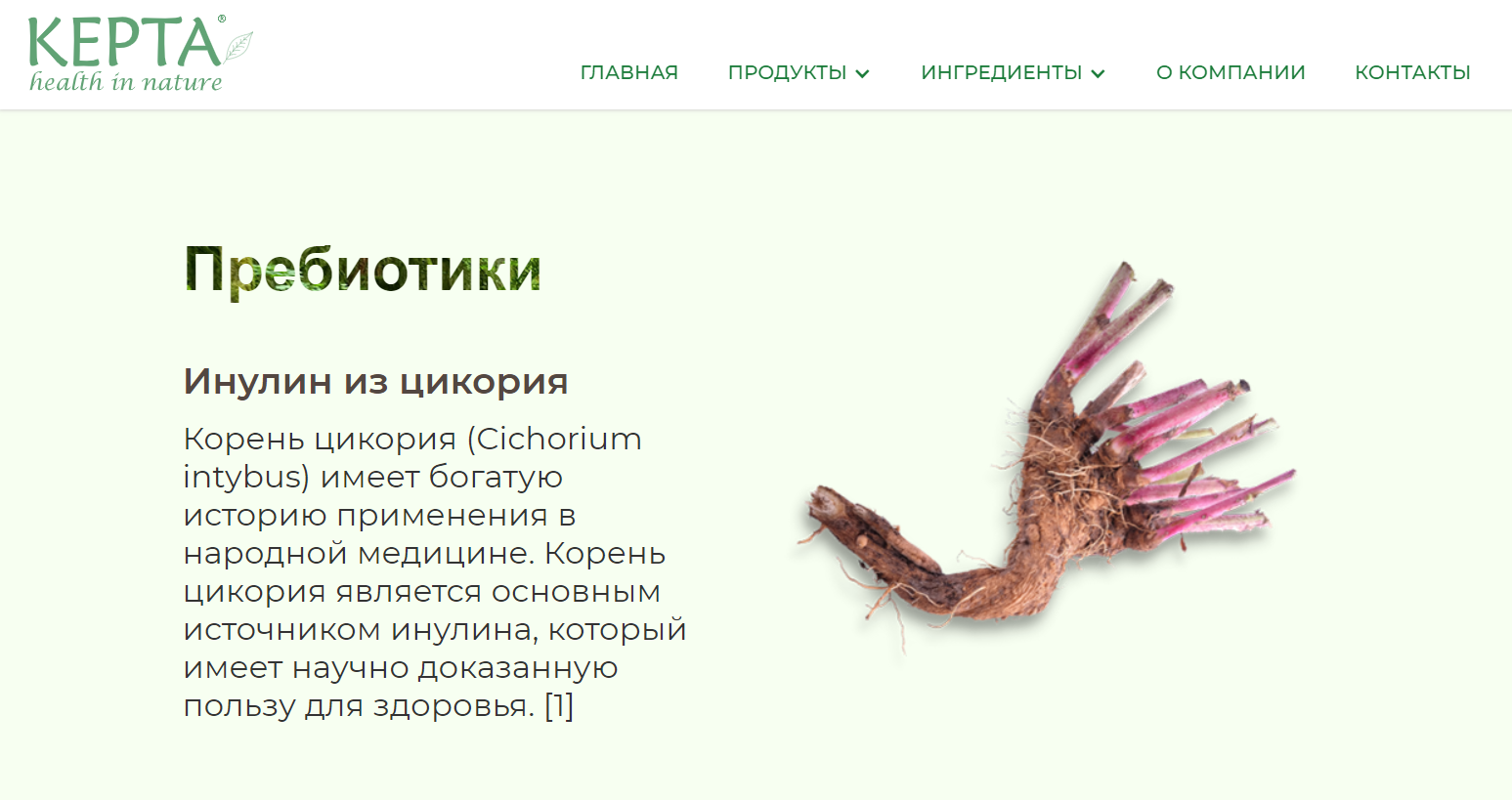 Инулин для чего применяется. Инулин для чего применяется