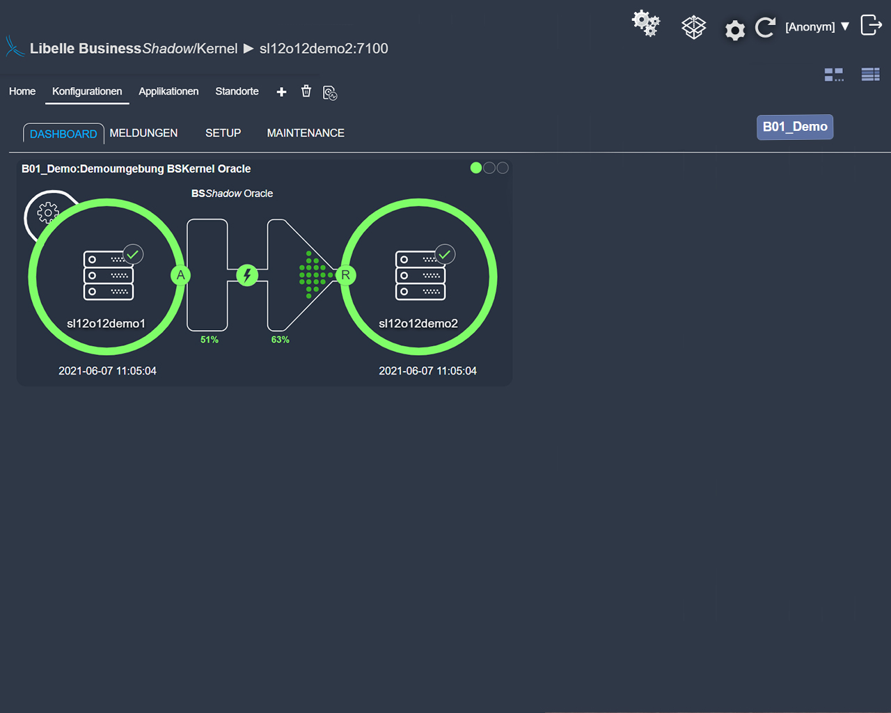 Libelle BusinessShadow frontend shows the hedging-phase