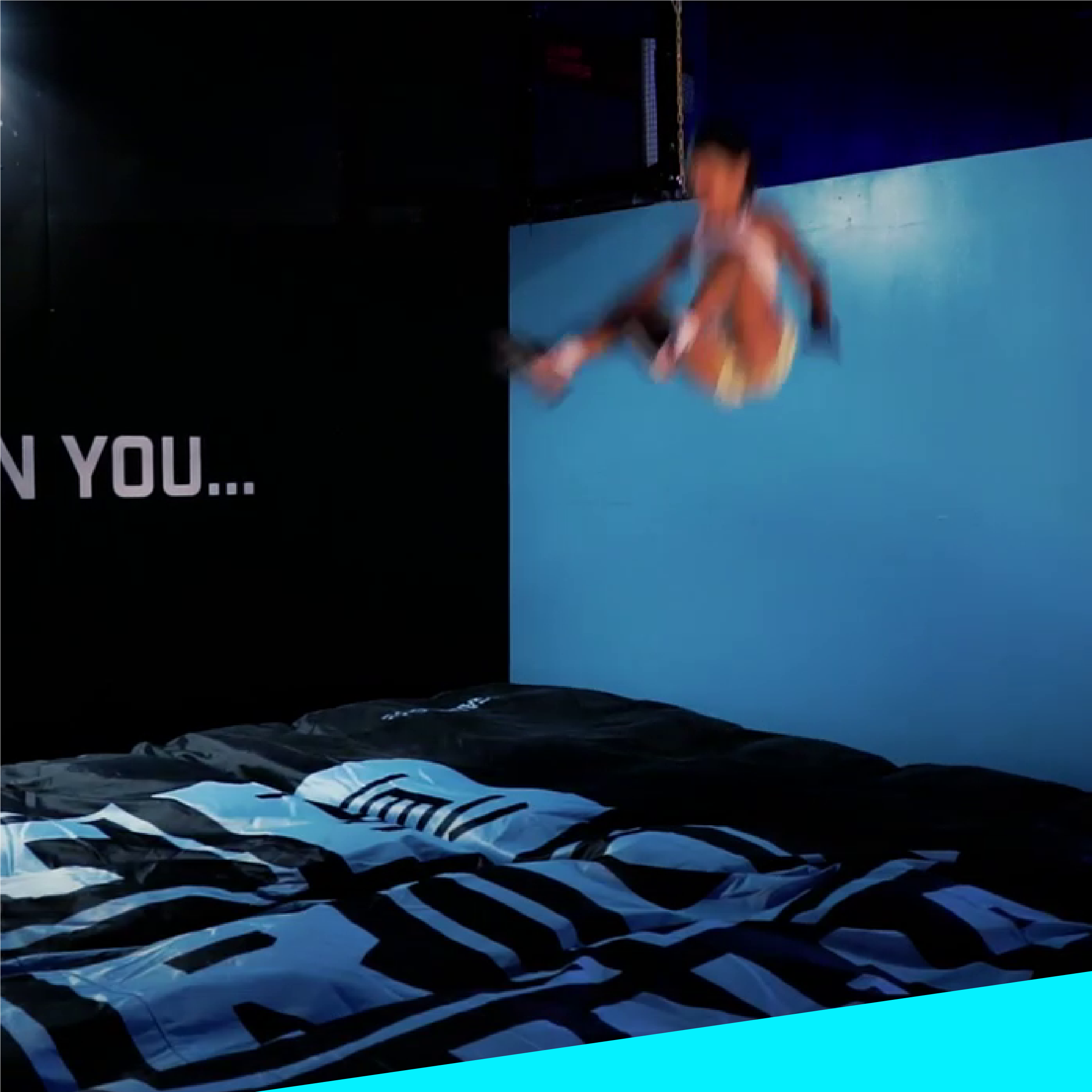 Tru Ninja Revolutionary Obstacle Course