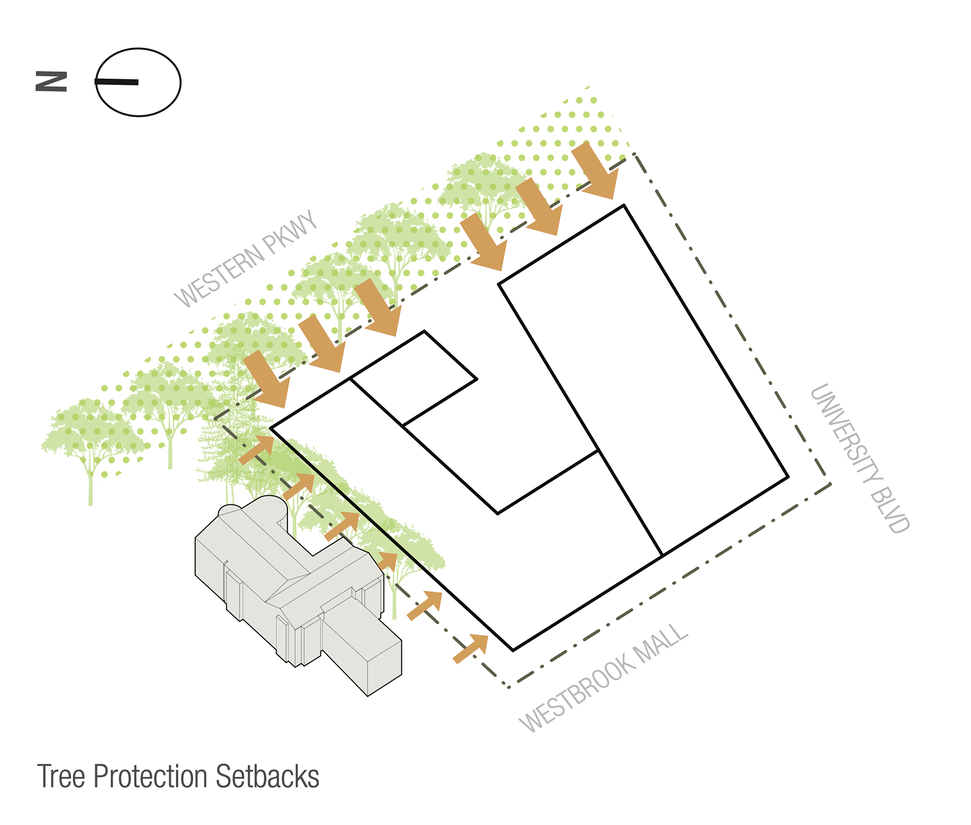 Menno Hall tree setbacks diagram