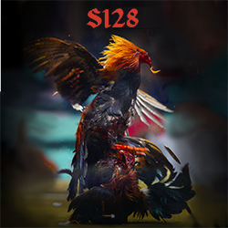 daga128