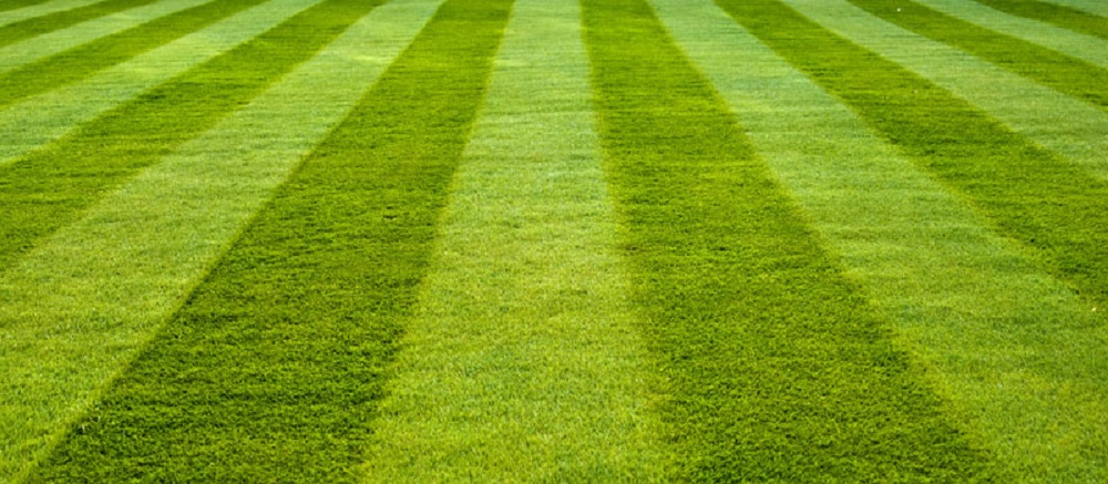 Remote control lawn mower / tools