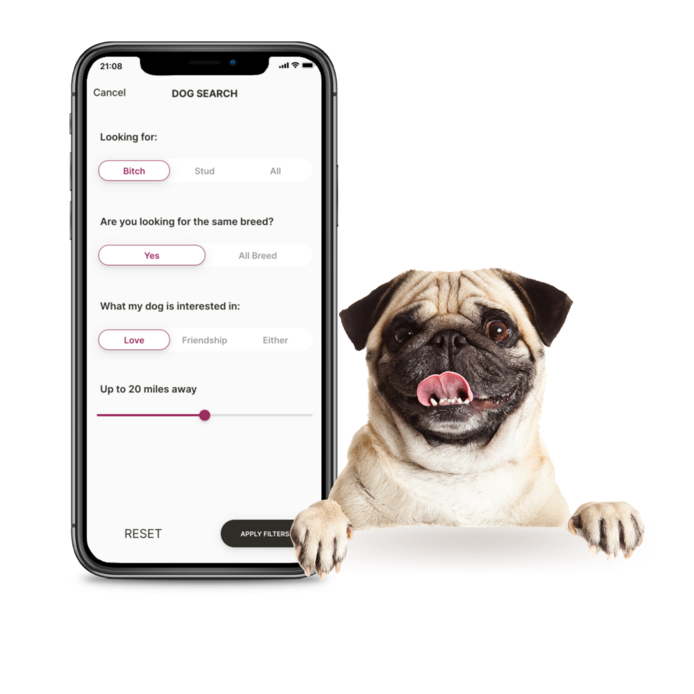 Photo dog phone filters