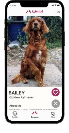 phone profile dog match 