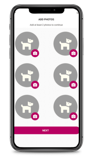 screen dog picture upload