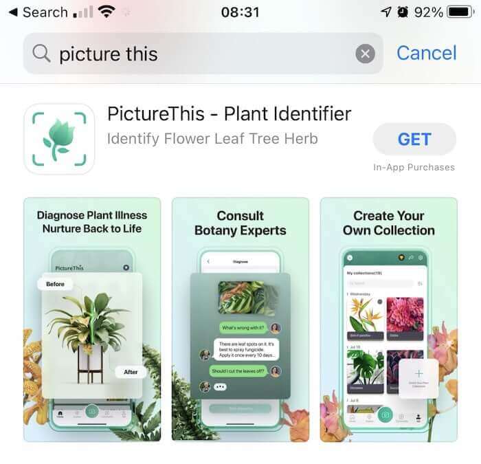 Screenshot of PictureThis app listed in the app store.